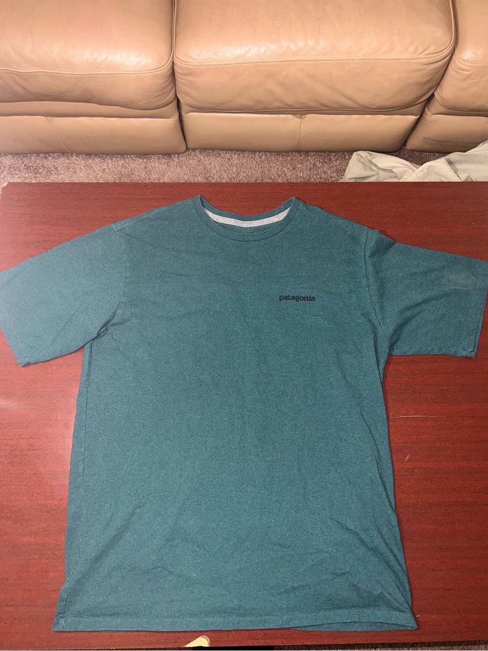 Patagonia Men’s Teal Short Sleeve Crew Tee